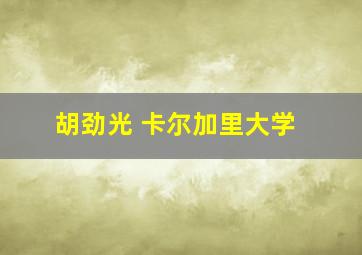 胡劲光 卡尔加里大学